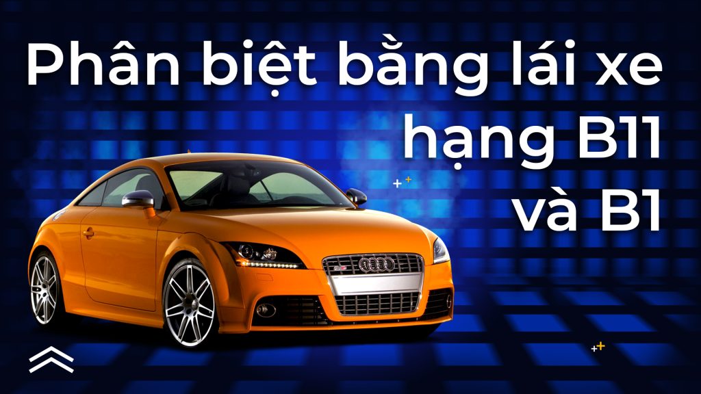 Bằng lái xe hạng B1 và B11 khác nhau thế nào?